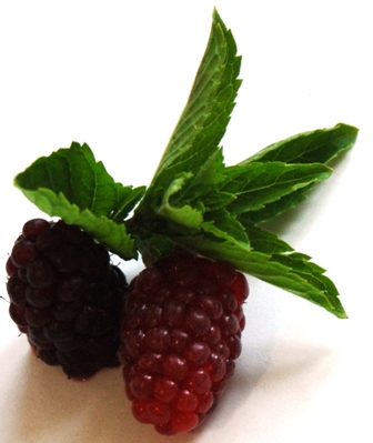 Tayberry