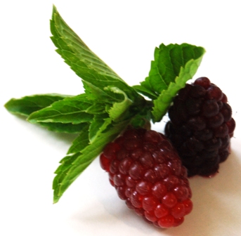 Tayberry