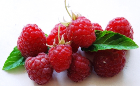 Rote Himbeere