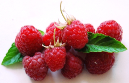Rote Himbeere