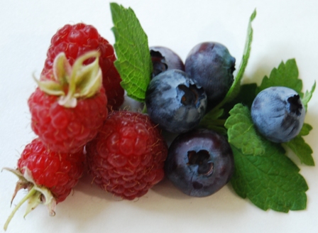 Rote Himbeere und Heidelbeere
