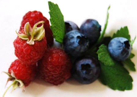Rote Himbeere und Heidelbeere