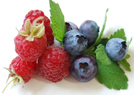 Rote Himbeere und Heidelbeere