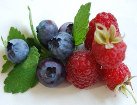 Rote Himbeere und Heidelbeere