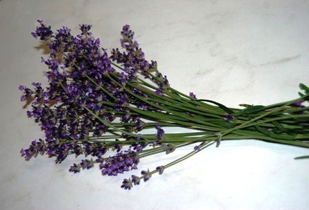 Lavendel