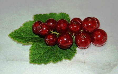 Johannisbeeren