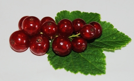 Johannisbeeren