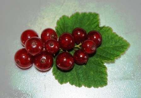 Johannisbeeren