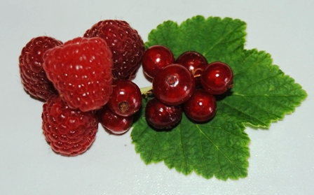 Rote Himbeere und Johannisbeere