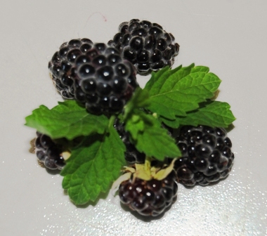 Schwarze Himbeere