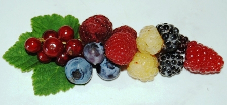 Johannisbeere, Schwarze, Gelbe und Rote Himbeere, Tayberry und Heidelbeere