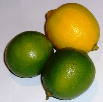 Limetten und Zitrone
