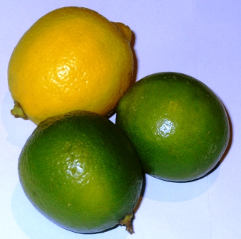 Limetten und Zitrone