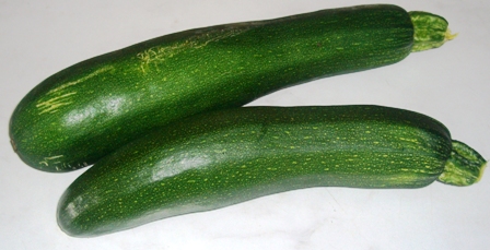 Zucchini