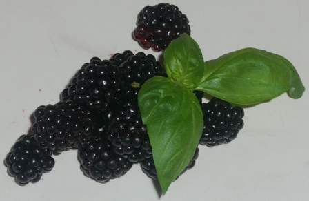 Brombeeren
