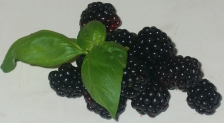 Brombeeren