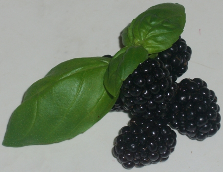 Brombeeren