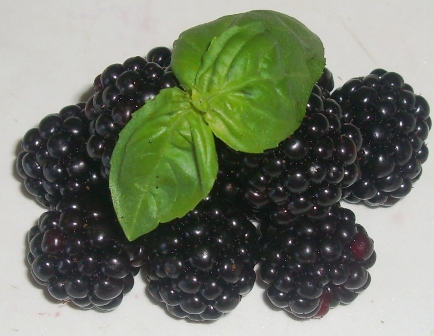 Brombeeren