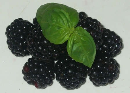 Brombeeren