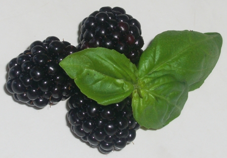 Brombeeren