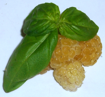 Gelbe Himbeere