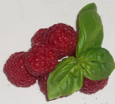 Rote Himbeere
