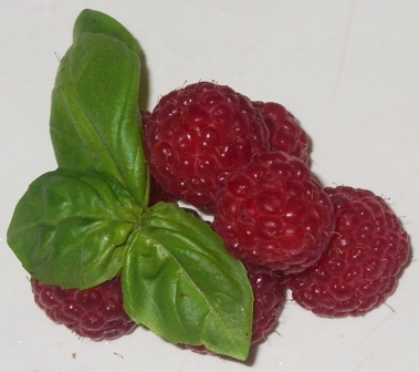 Rote Himbeere
