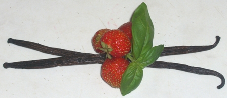 Erdbeere und Vanille