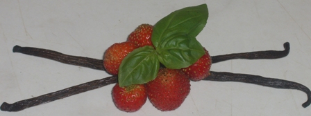 Erdbeere und Vanille