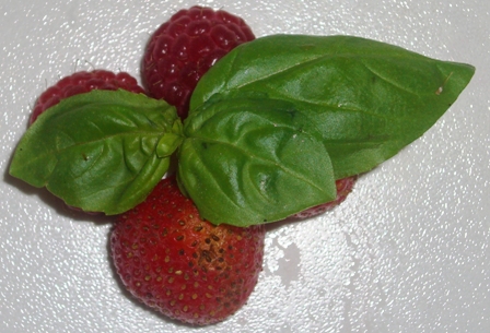 Erdbeere und Himbeere