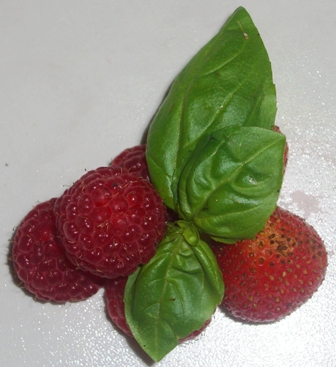 Erdbeere und Himbeere