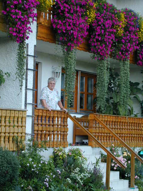 meine wunderbaren Balkonblumen