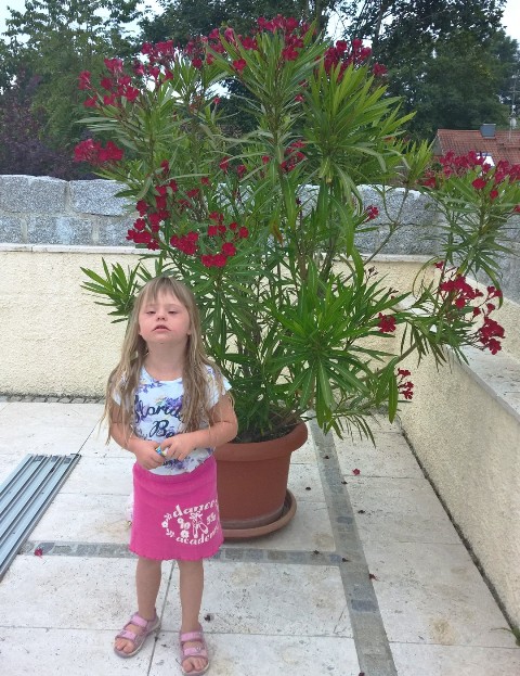 Oleander