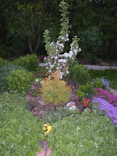 Blumeninsel