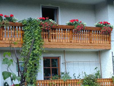 Ausschnitt meines Balkons