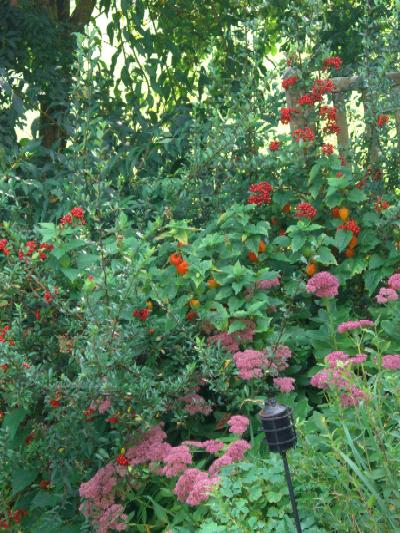 Buntes Herbsttreiben