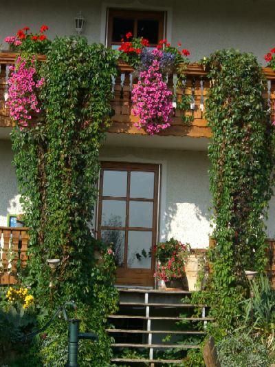 Sonnenseite unseres Hauses