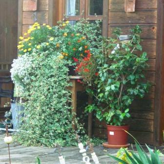 Blumeneck am Gartenhaus