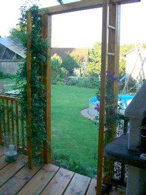 Noch ein Blick zu meiner Clematis.