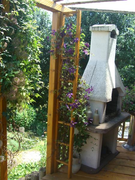 Grillecke mit Clematis