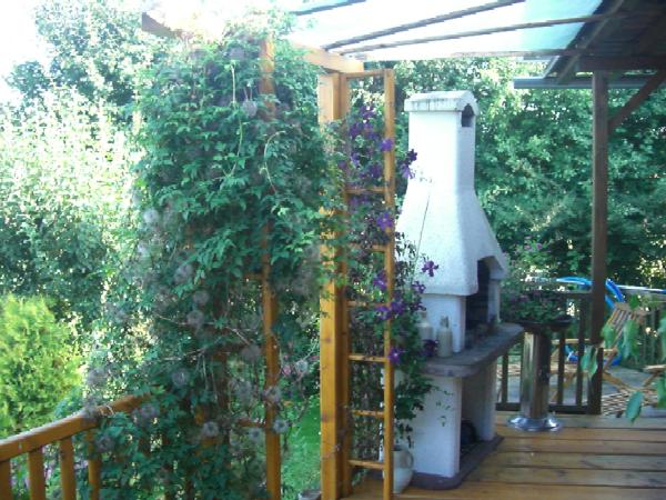 Grillecke mit Clematis