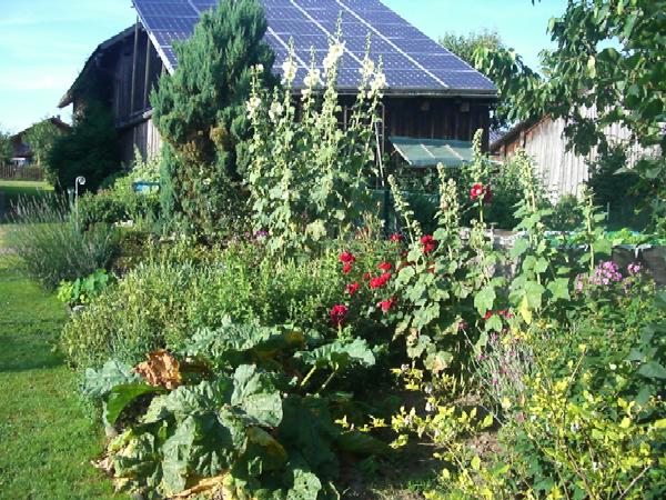 Kr&auml;uter Blumenbeet