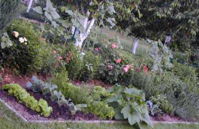 Mein Gem&uuml;segarten