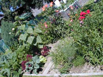 Mein Gem&uuml;segarten