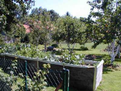 Hochbeet im Obstgarten