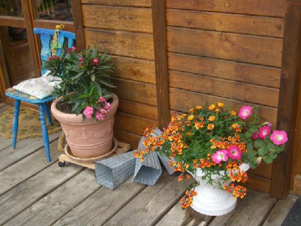 Blumen vorm Gartenhaus