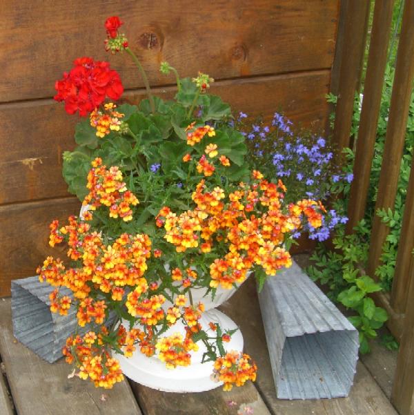 Blumenspindel