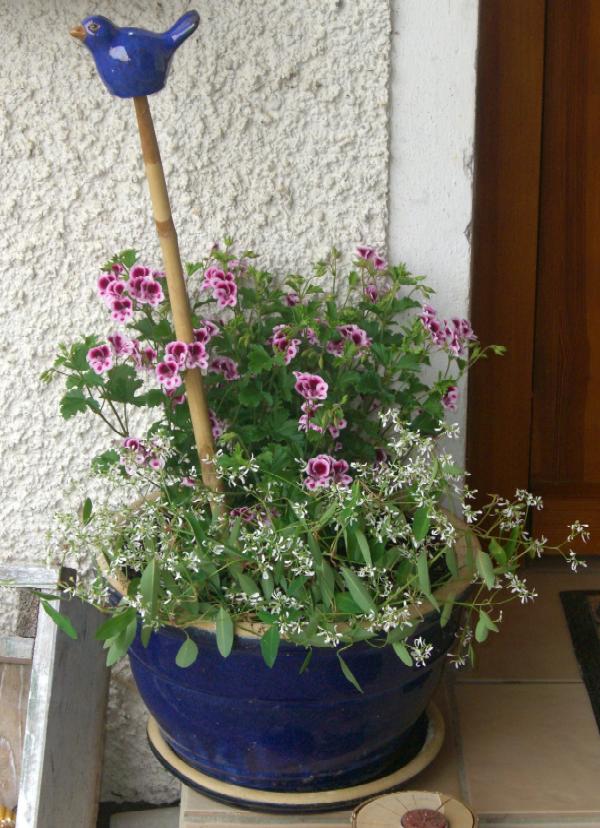 Blumentopf mit Wilder Hilde am Eingang