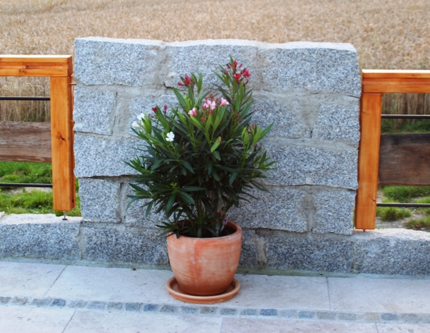 Was sonst........Oleander vor dem Gel&auml;nder - Granitmauerst&uuml;ck