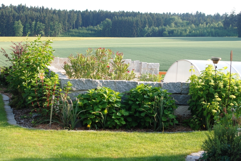 Hortensieneck an der Poolmauer
